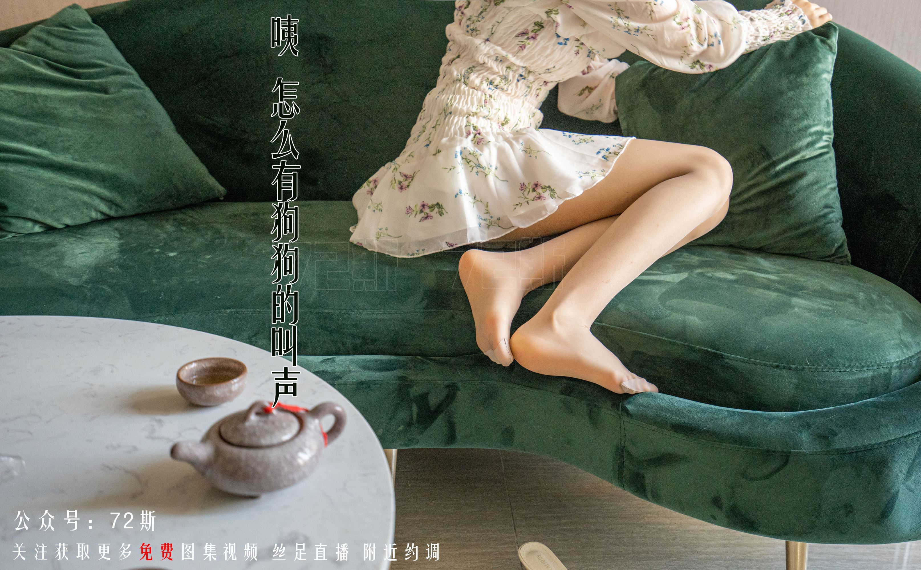 72斯图集 No.01 我的新室友1